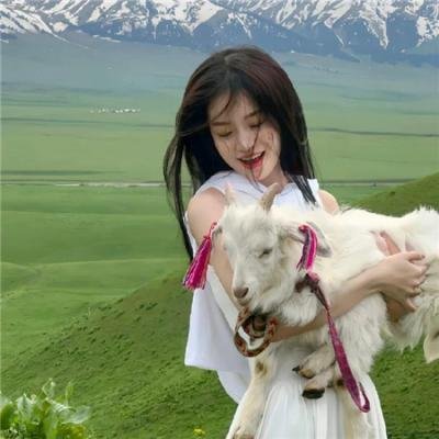 金发美人